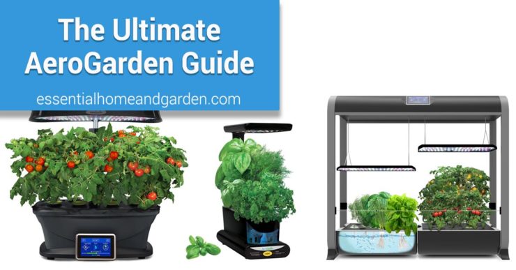 Aerogarden Reviews And Buying Guide For 2020 Essential Home And
