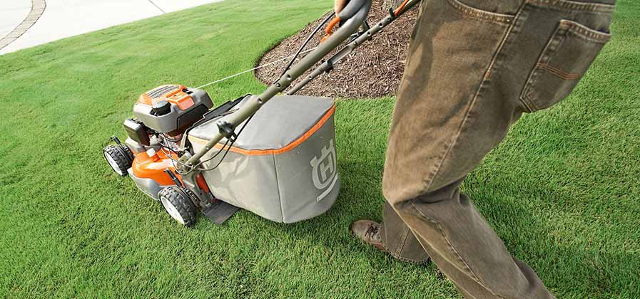 mow at the right height to prevent dandelions