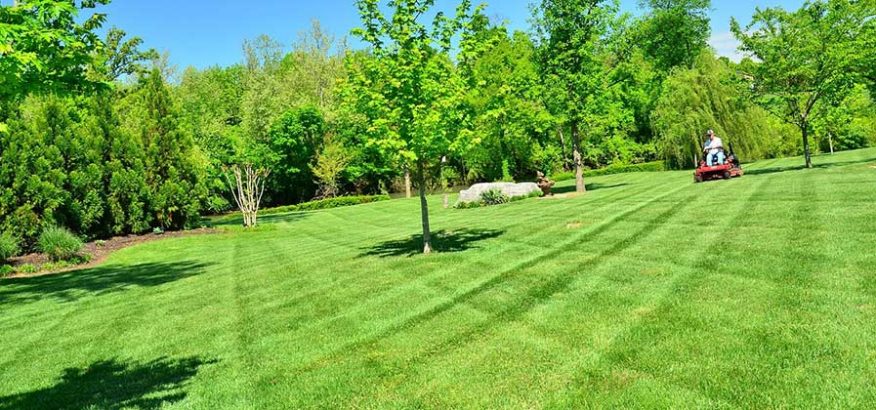 sta-green-winterizer-15000-sq-ft-22-0-14-in-the-lawn-fertilizer