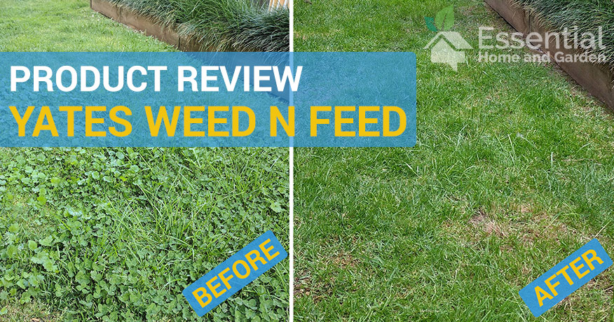 yates weed n feed review