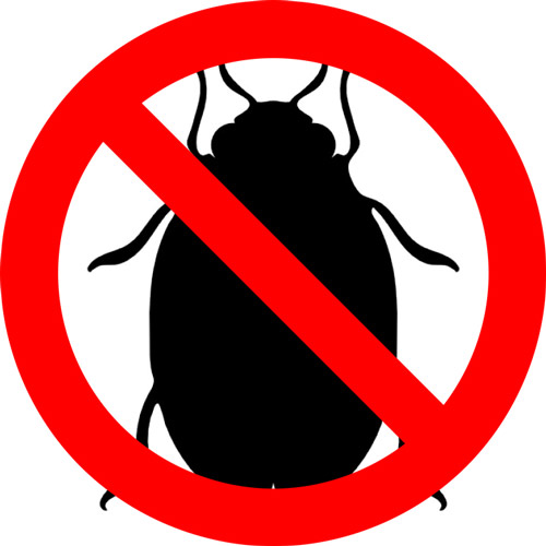 how to apply diatomaceous earth for bed bugs