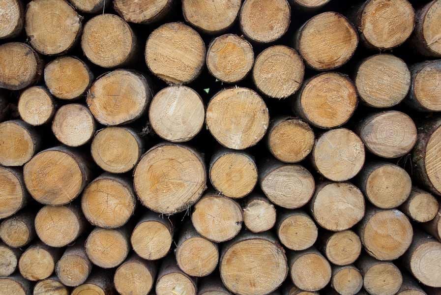 oak firewood
