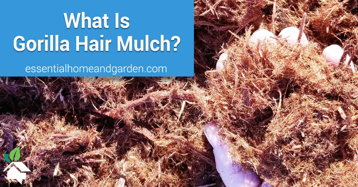 gorilla hair mulch price per yard