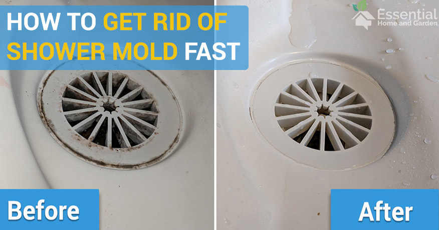 How To Remove Mold From The Shower Quickly and Easily