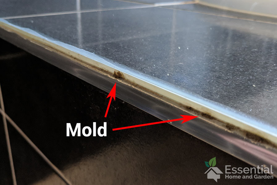 How To Remove Mold From The Shower Quickly And Easily