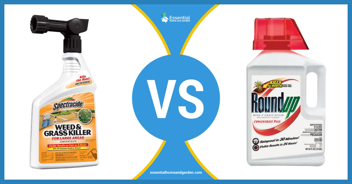 Lawn Weeds Page 2 Of 2 Essential Home And Garden