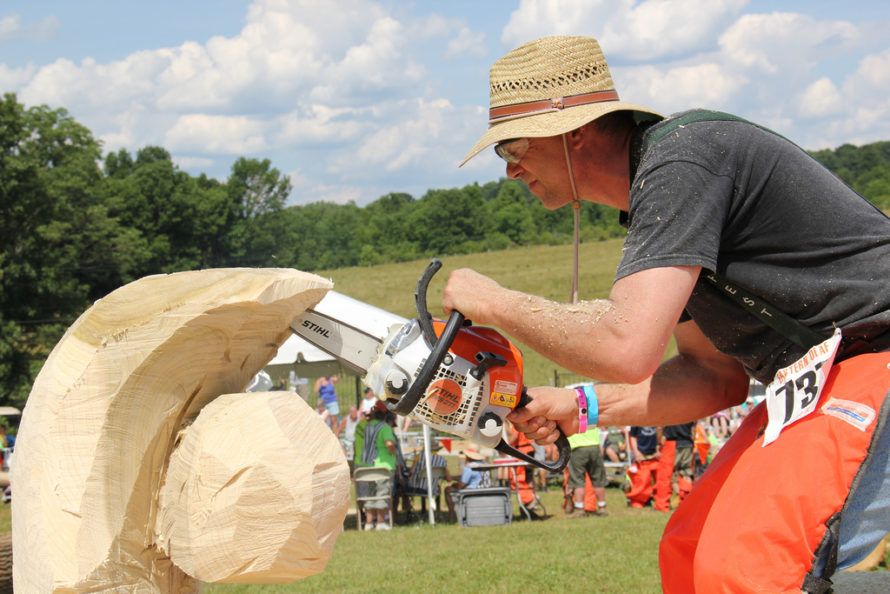 Different Types Of Chainsaws A Buyers Guide Essential Home And Garden