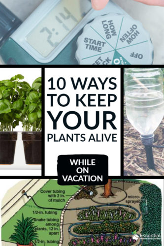 10 Ways To Water Plants While On Vacation Essential Home And Garden