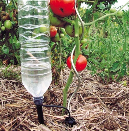 water bottle to water plants