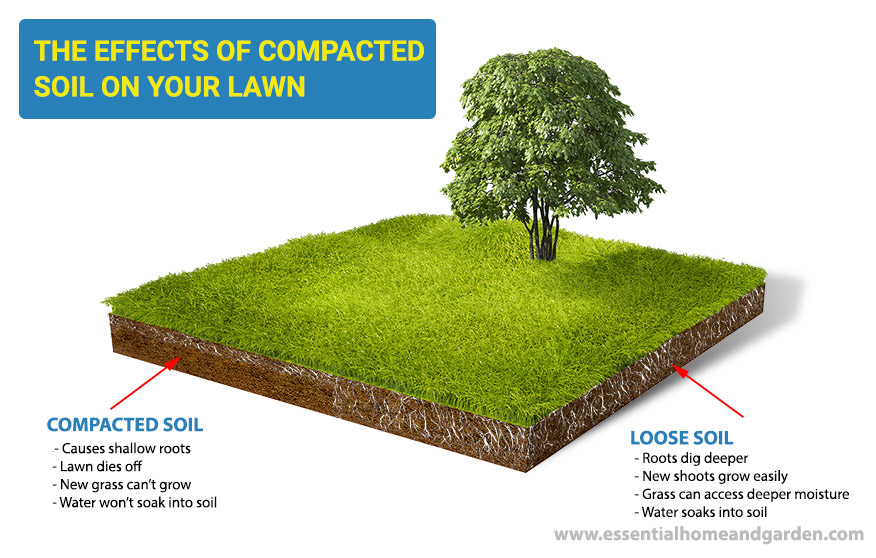 compacted soil