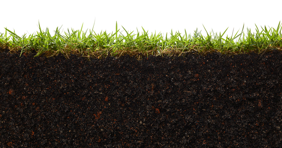 lawn soil that is healthy and not compacted