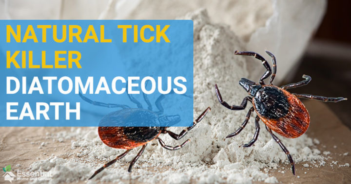 does diatomaceous earth kill ticks