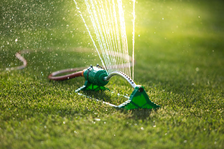 sprinkler watering lawn seed