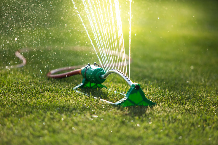 watering the grass