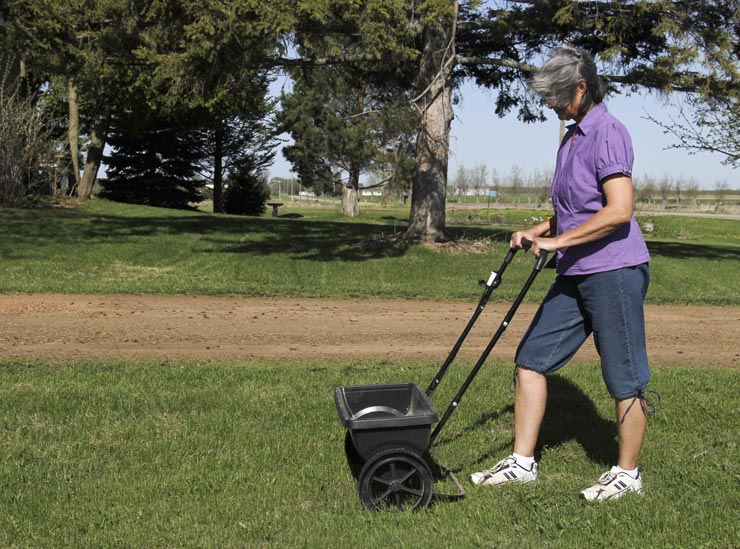 woman using fertilizer spreader