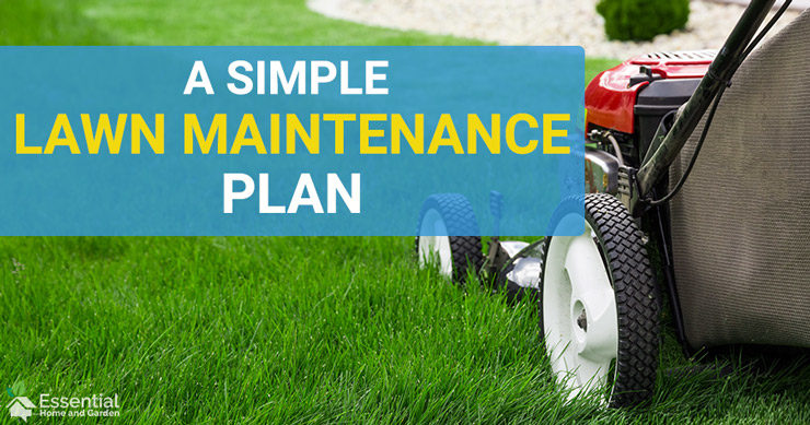 lawn maintenance plan