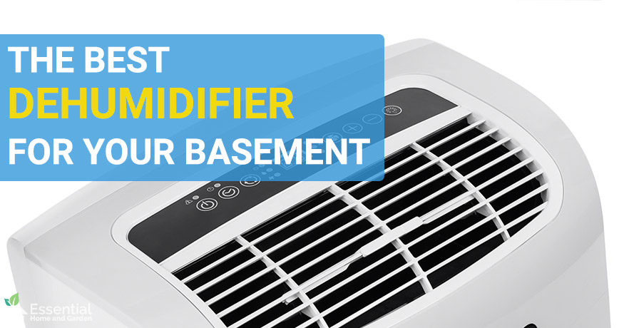 best dehumidifiers for basements