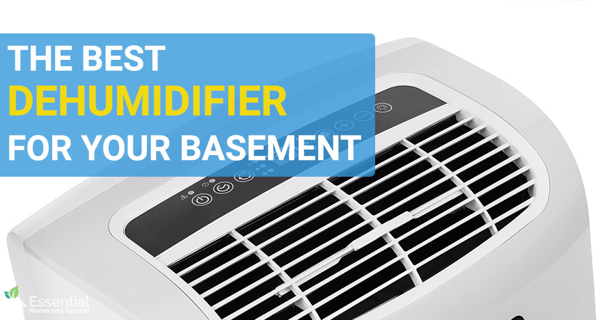 The 7 Best Dehumidifiers For Basements, Should You Have A Humidifier In Your Basement