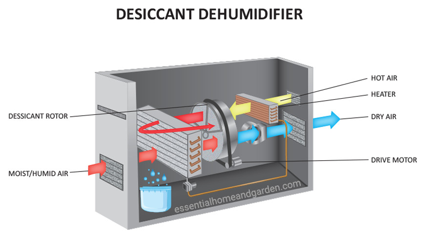 How Does a Dehumidifier Work? - Essential Home and Garden