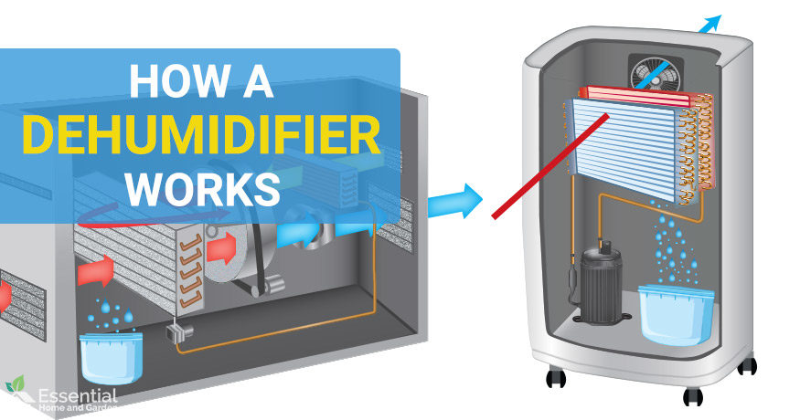 how does a dehumidifier work