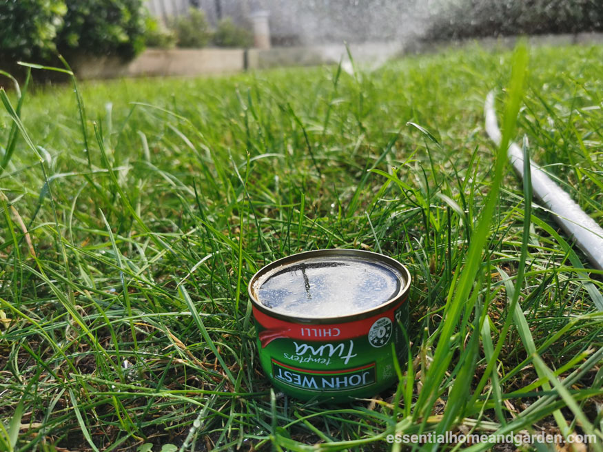 tuana can rule watering lawn