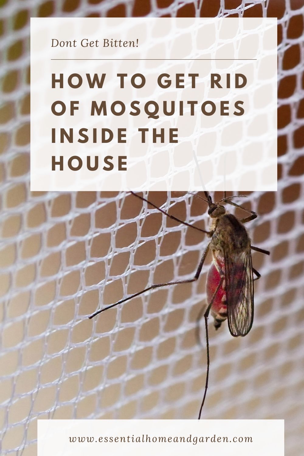 get rid of mosquitos indoors pinterest