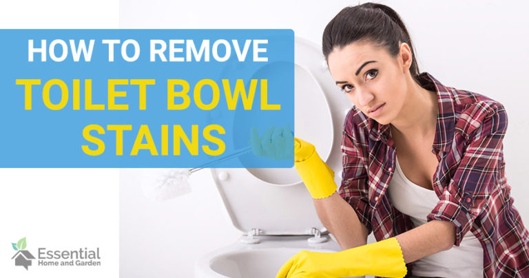 how to remove toilet bowl stains