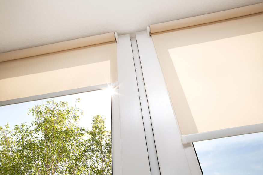 Pvc Outdoor Blinds