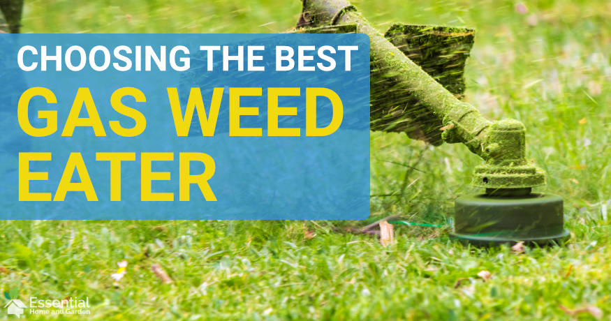 best gas weed trimmer 2020