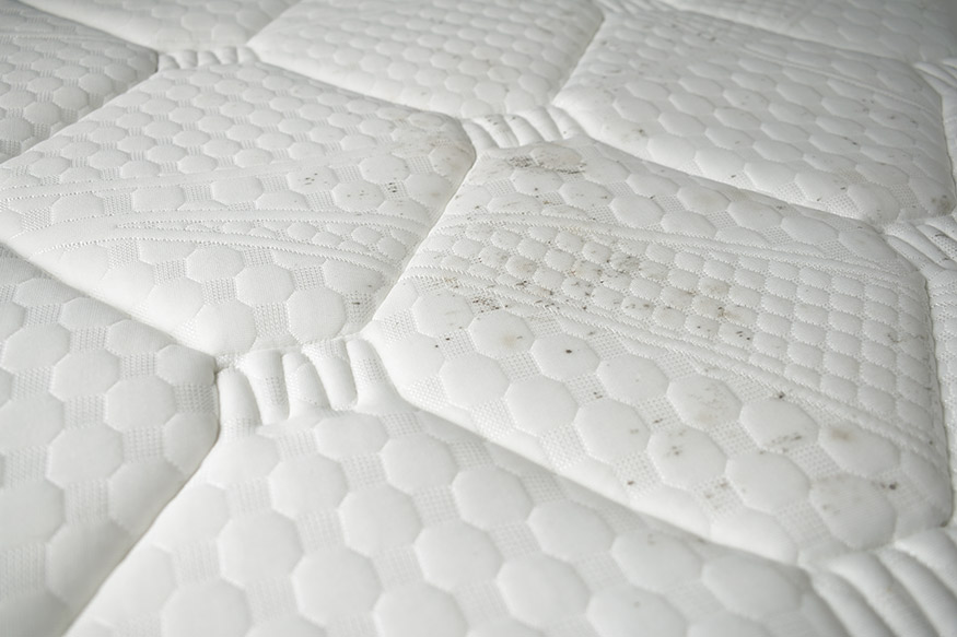 mold on mattress