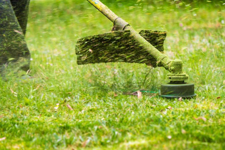 weed eater head cutting grass