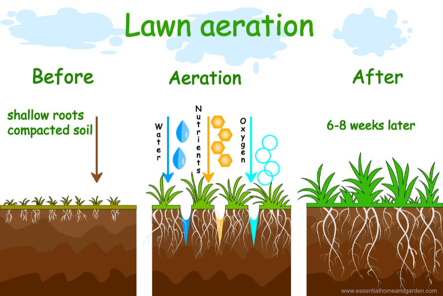 what is lawn aeration