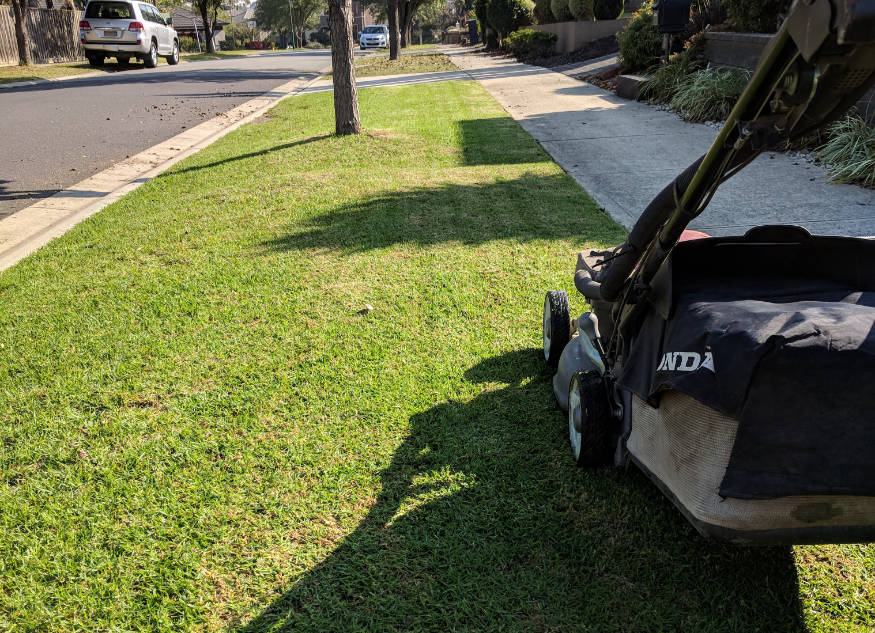 lawn mower on freshly mowed lawn