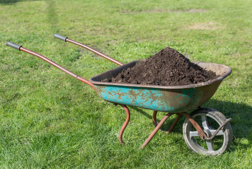 wheelbarrow of soil for overseeding