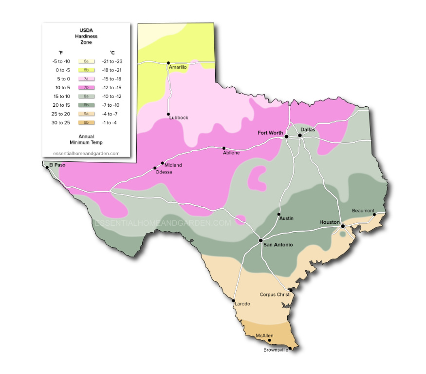 Texas USDA Hardiness Zone Map
