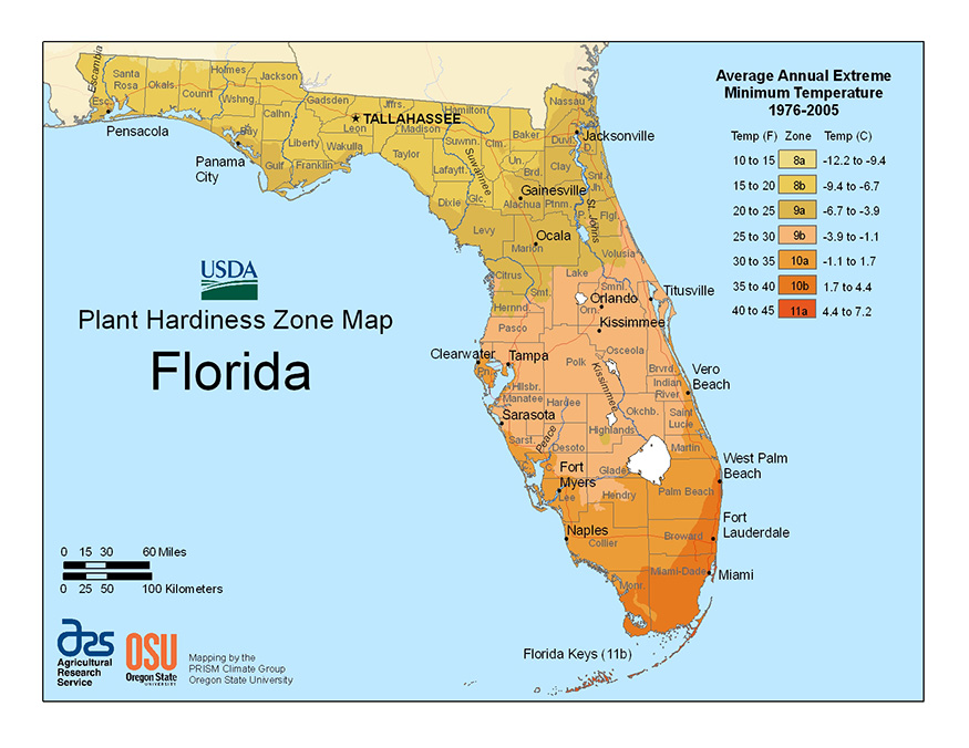 florida planting zone map