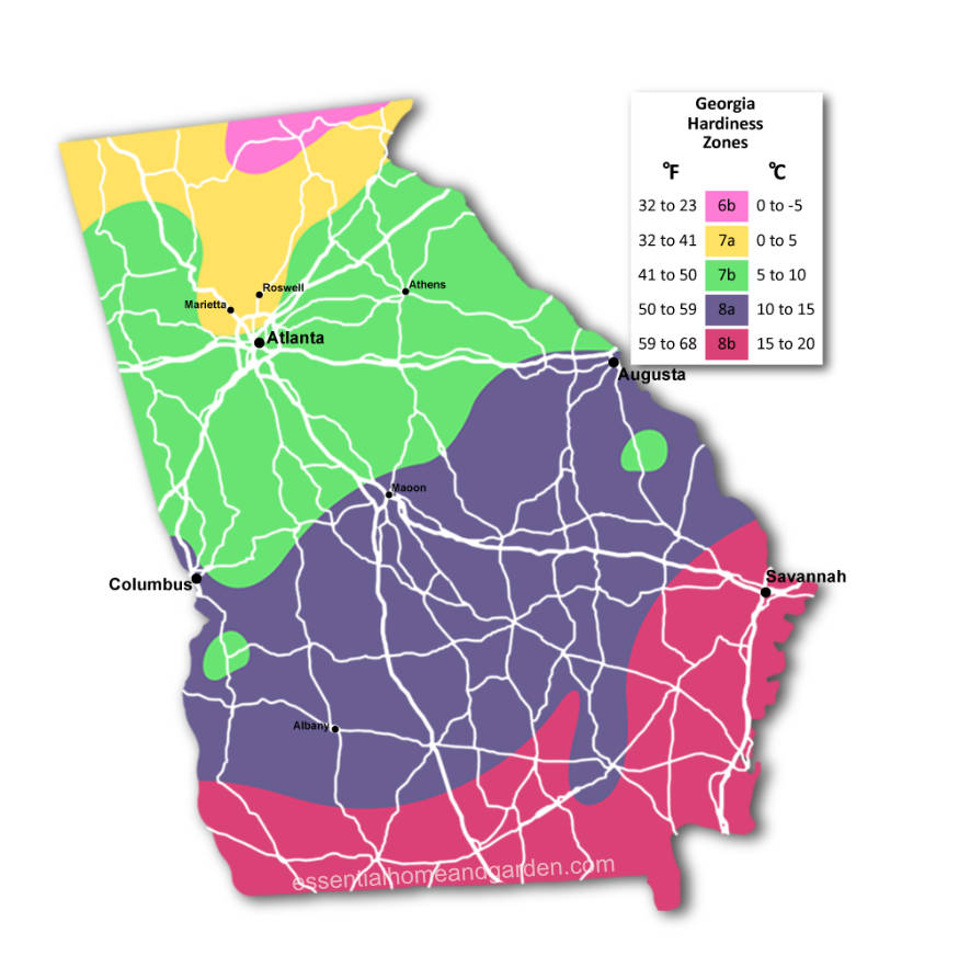 georgia usda hardiness zone