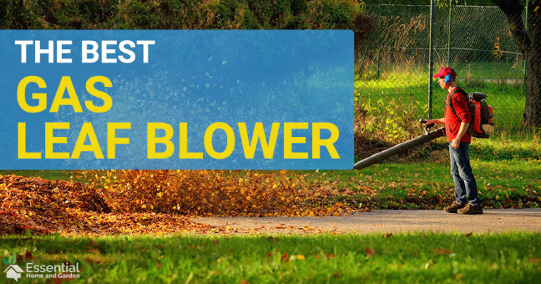 best gas leaf blower