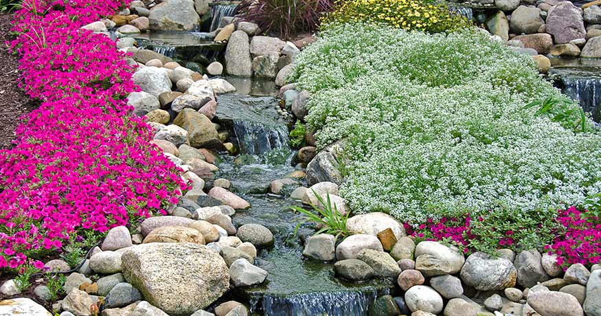 Steep slope covered with Sedum for erosion resistance - Sempergreen