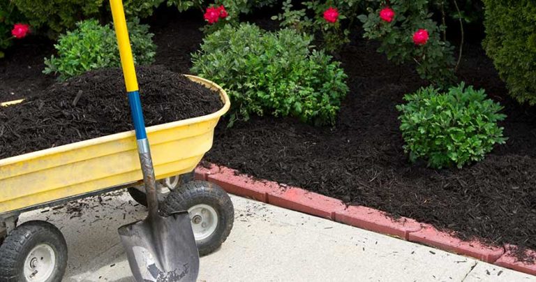how to spread mulch