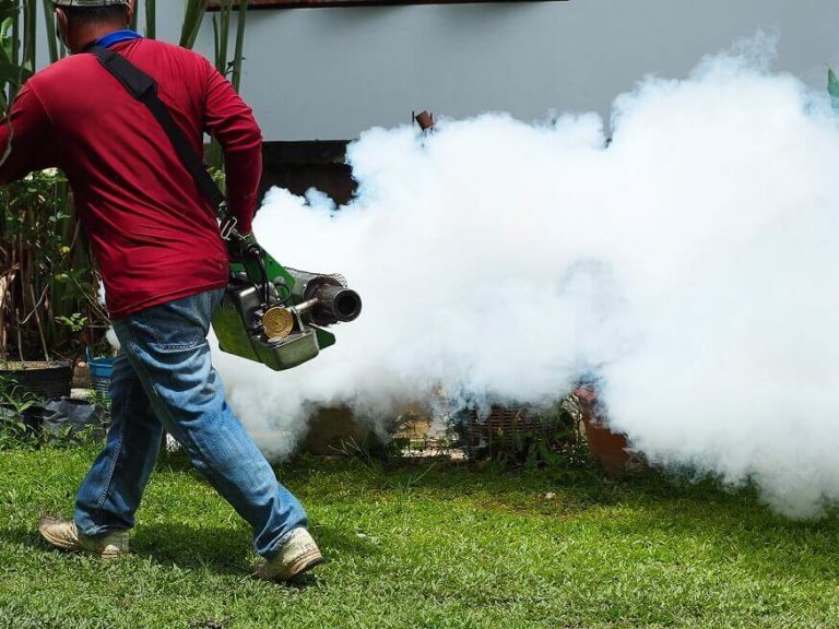 Do Mosquito Foggers Work?