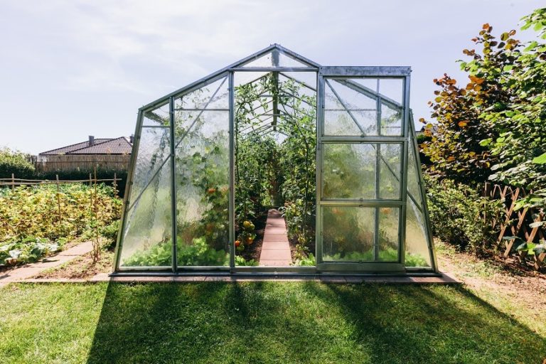 The 10 Best Greenhouse Kits Reviews And Buyer’s Guide Essential