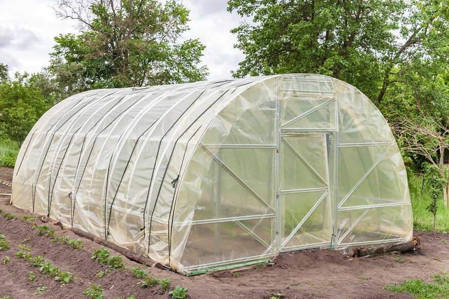 large greenhouse for vegetables and flowers