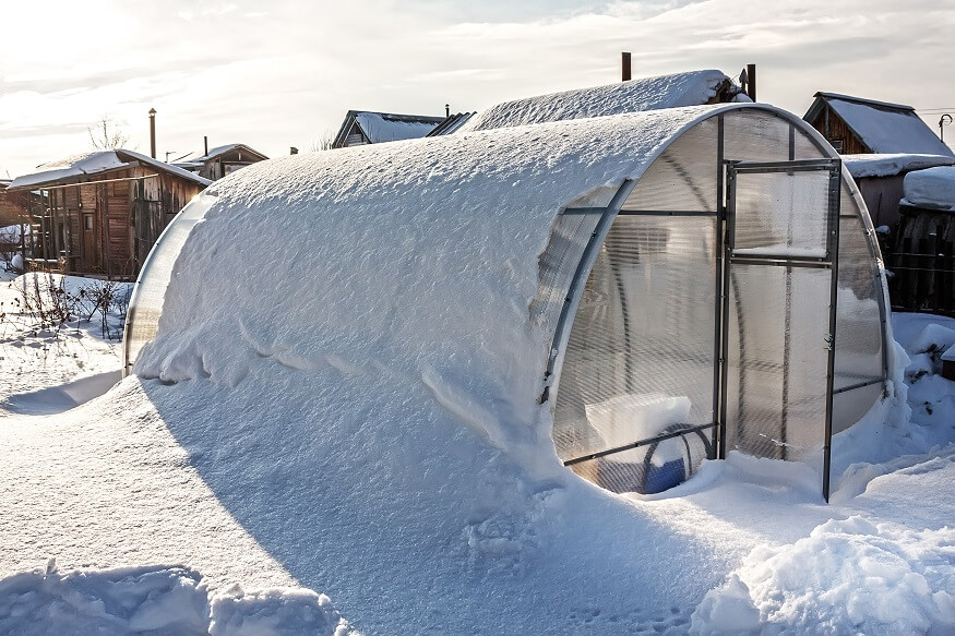 greenhouse covered in snow