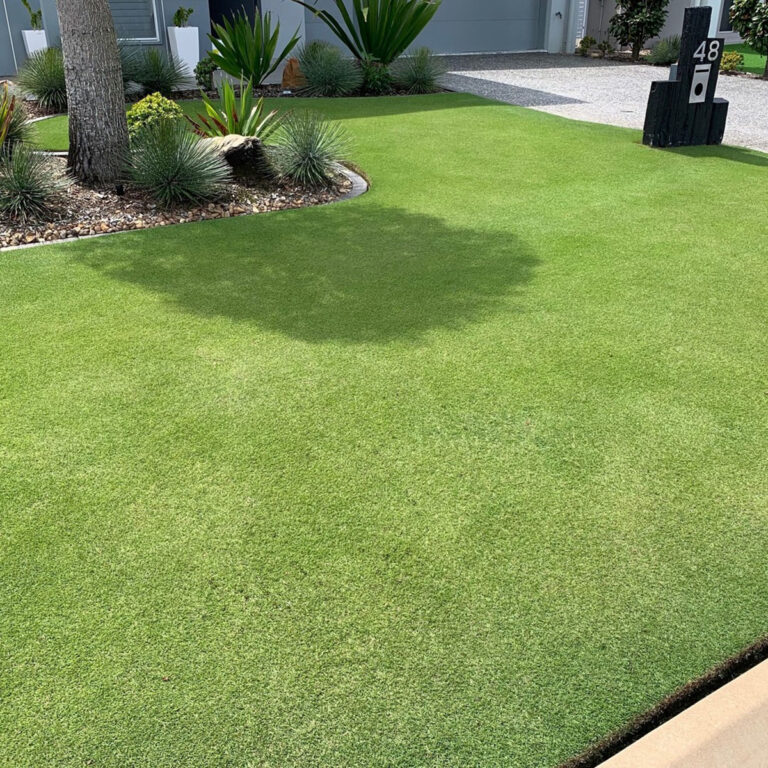 The Best Grass Seed For Sandy Soil 5 Types That Thrive In Sandy Soil