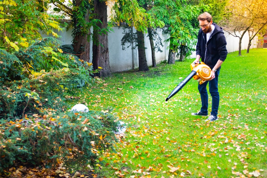 a person using a leaf blower to remove leaves on grass without raking