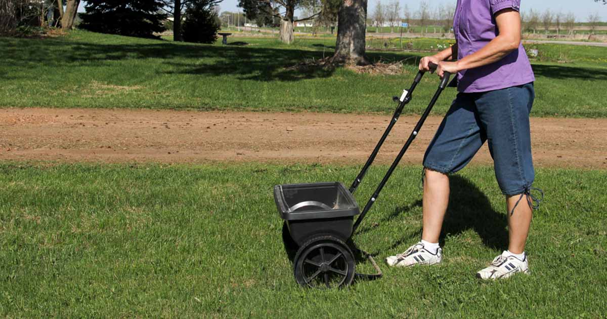 women pushing a fertilizer spreader filled with the best organic lawn fertilizer