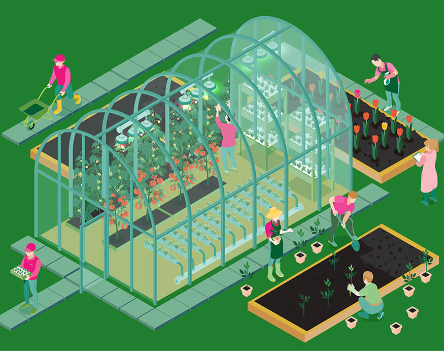 an illustration of a greenhouse