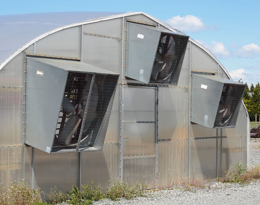 greenhouse with cooling vents