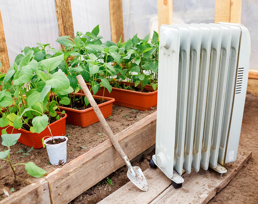 an electric oil heat standing next to seedlings